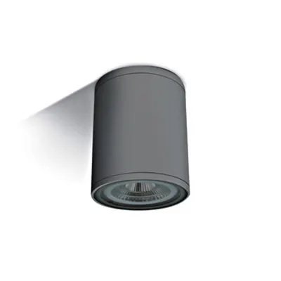 Rolo 2-CL 75W, E27, PAR30, 100-240V, IP54,antracit