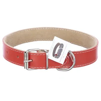 Zgarda din piele, rosie, pentru caini de talie medie, 3 cm x 60 cm