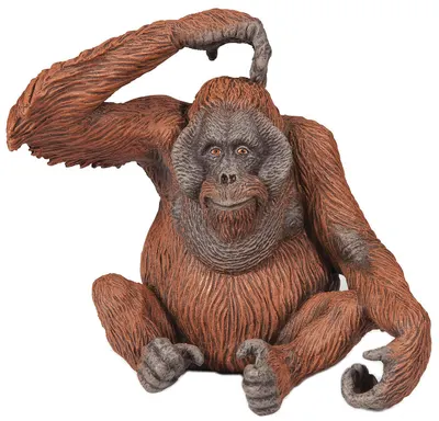 Figurina Papo Wild Animal Kingdom - Urangutan