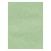 Coperta indosariere A4 CNX, carton imitatie piele, fistic, 230g/mp, top 100 coli