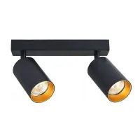 Aplica dubla pentru interior, Eris Gold, stil modern, abajur reglabil, IP20