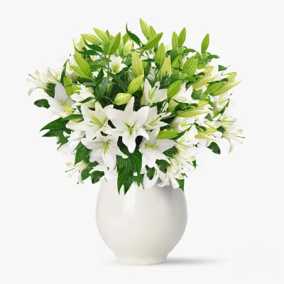 Buchet de 25 crini imperiali albi