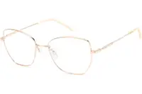 Pierre Cardin P.C.8876 DDB