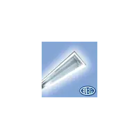 Corpuri de iluminat Fluorescente pentru Montaj Aparent - FIRA 02 AS 1X38W , ASIMETRICE, ELBAtttttt