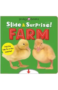 Farm (Slide & Surprise!): Pull the Tabs for a Fun Farm Surprise!