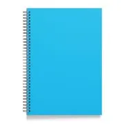 Caiet A5 cu spira, 60 file matematica, 60g/mp, PP 280 microni
