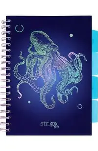 Caiet matematica cu spirala si separatoare: Caracatita