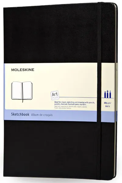 Agenda-carnetel de buzunar Moleskine Creative Classic – File albe