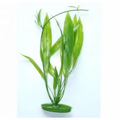 Marina Planta Amazon Sword 30 cm PP1201