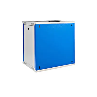 Dulap de perete DTW, 12U H=595 x W=540 x D=450, 19