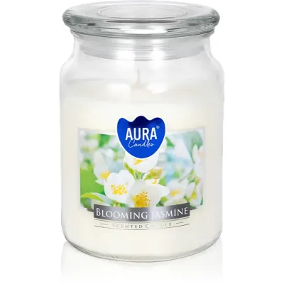 BISPOL Premium Line Jasmine lumânare parfumată 500 g