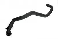 Conducta furtun sistem racire inferior (31mm) AUDI A3; SEAT LEON, TOLEDO II; SKODA OCTAVIA I; VW BORA, GOLF IV 1.9D intre 1996-2010