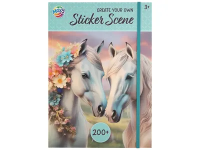 Carte A4 cu stickere