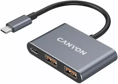Hub USB Canyon - TDS3 Hub, 3 porturi, USB-C, gri