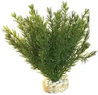 Sydeco Planta Club Moss Maxi 30 cm 106