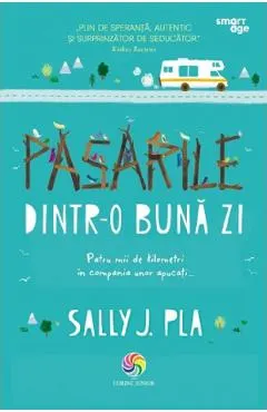 Pasarile dintr-o buna zi