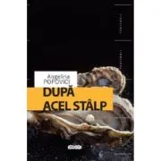 Dupa acel stalp