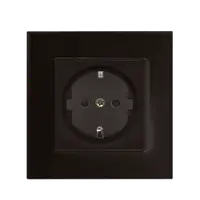 German Type Socket 16a Glass Frame Black
