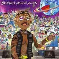 The Party Never Ends - Vinyl