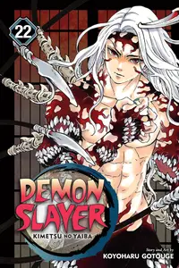 Demon Slayer Kimetsu no Yaiba, Vol. 22