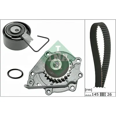 Set pompa apa+curea dintata INA 530 0376 30