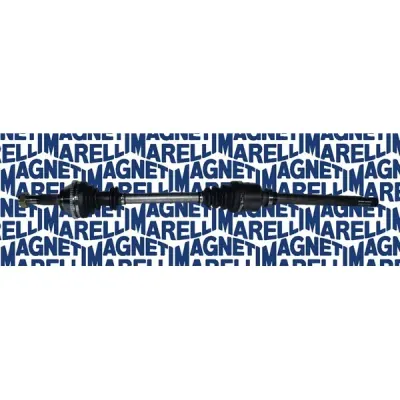 Planetara MAGNETI MARELLI 302004190038