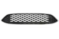 Grila radiator potrivit FORD FOCUS III 1.0-Electric 2010-2020 - (pieptene, crom/negru)