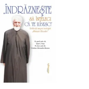 Indrazneste sa intelegi ca te iubesc! Reflectii asupra teologiei Sfantului Filocaliei