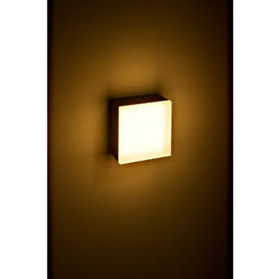 Zelda LED Square Large 12W 740lm 3000K ECG IP54 antracit