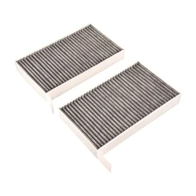 Filtru habitaclu cu carbon activat potrivit TESLA MODEL 3, MODEL Y Electric 01.17