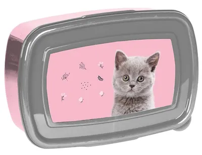 Cutie pentru mâncare Paso Cat - Pisică gri, 750 ml