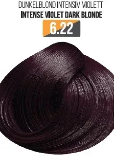 Vopsea Profesionala Fara Amoniac EVOQUE USA, Nuanta 6.22 INTENSE VIOLET DARK BLONDE - Cu Ulei de Argan si 12 Aminoacizi, 100 ml - Evoque