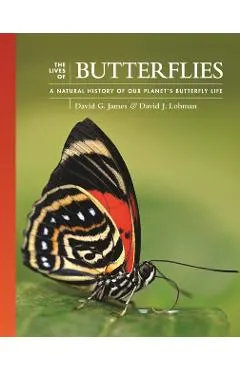 The Lives of Butterflies: A Natural History of Our Planet's Butterfly Life