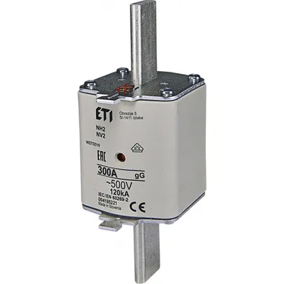Nh Nh2 Gg 300a/500v