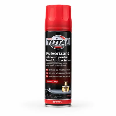 Spray Siliconic pentru Bord Total Protect 250 ml Engros