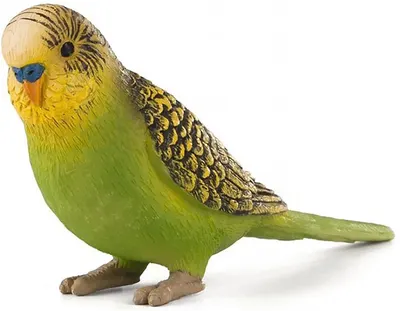 Figurina Mojo Farmland - Papagal Green budgie