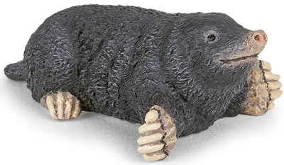 Figurina Papo Wild Animal Kingdom - Cartita