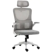 Vinsetto Scaun Ergonomic de Birou, Tetieră Reglabilă, Suport Lombar, 70x66x120-128 cm, Gri | Aosom Romania