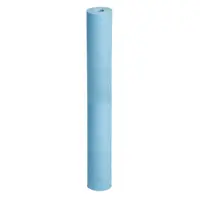 Cartus polipropilena antibacterian 20 long FCPSx-L-AB