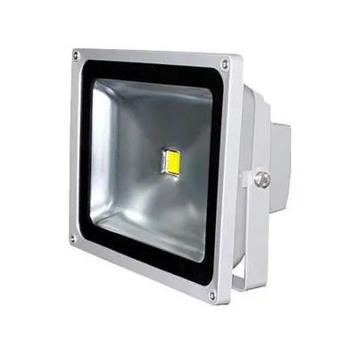 Proiector Power LED 30W Klausen