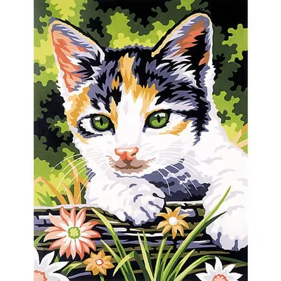Pictura pe Numere Pisoi, 7 Culori, 22 x 30 cm