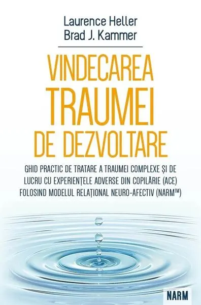 Vindecarea traumei de dezvoltare - Paperback brosat - Brad Kammer, Laurence Heller