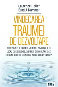 Vindecarea traumei de dezvoltare - Paperback brosat - Brad Kammer, Laurence Heller