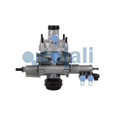 Releu, Alb Cojali 2220479