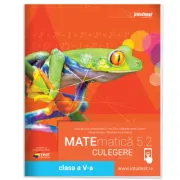 Culegere de matematica. Clasa a 5-a. Volumul 2