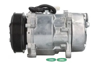 Compresor Climatizare Potrivit Citroen Berlingo, Berlingo Minivan, C5 I, C5 Ii, Evasion, Jumper I, Jumpy I, Xantia, Xantia Kombi, Xm, Xsara, Xsara Picasso, Xsara Hatchback 1.6-2.5d 06.89