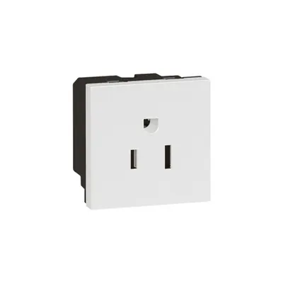 priza Arteor - US - 15 A / 127 V - 2P+E - 2 module - alb
