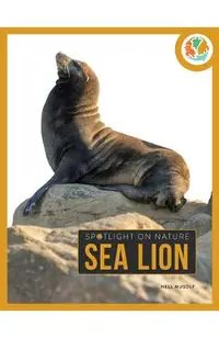 Sea Lion