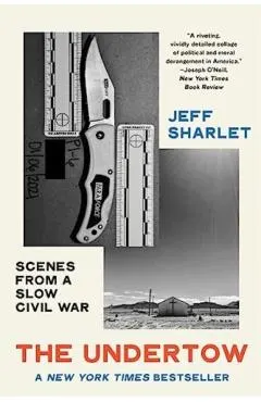The Undertow: Scenes from a Slow Civil War