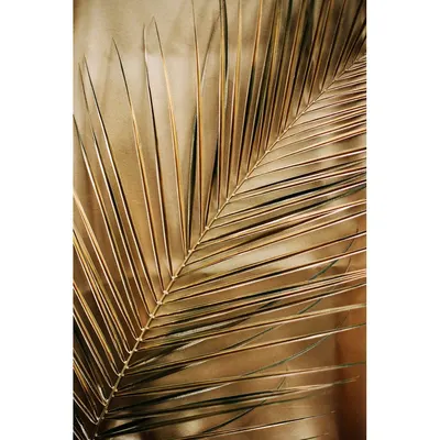 Tablou din sticlă imprimat 80x120 cm Gold Palm – Styler